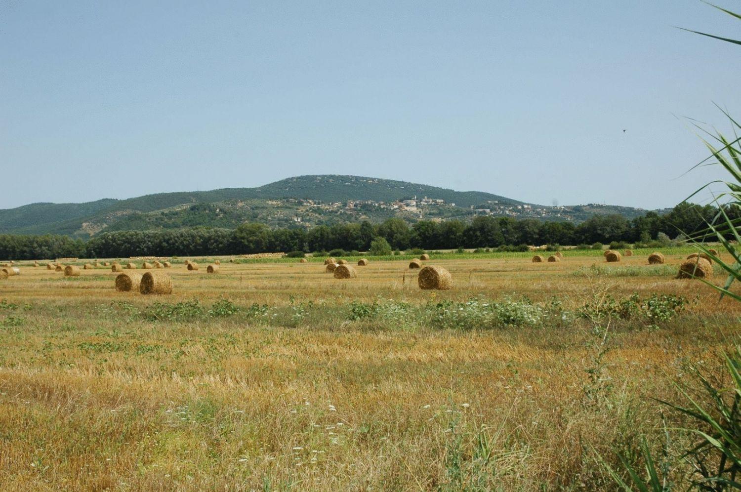מאג'ונה Casa Vacanze Vecchio Granaio מראה חיצוני תמונה